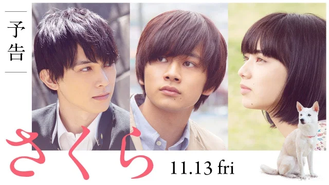 فيلم ساكورا Sakura 2020 مترجم اون لاين HD
