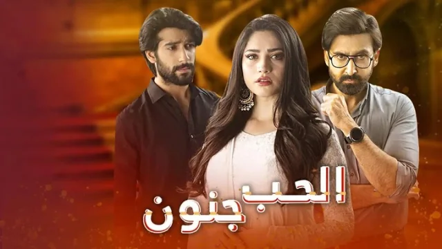 مسلسل الحب جنون الحلقة 18 الثامنة عشر مدبلجة HD